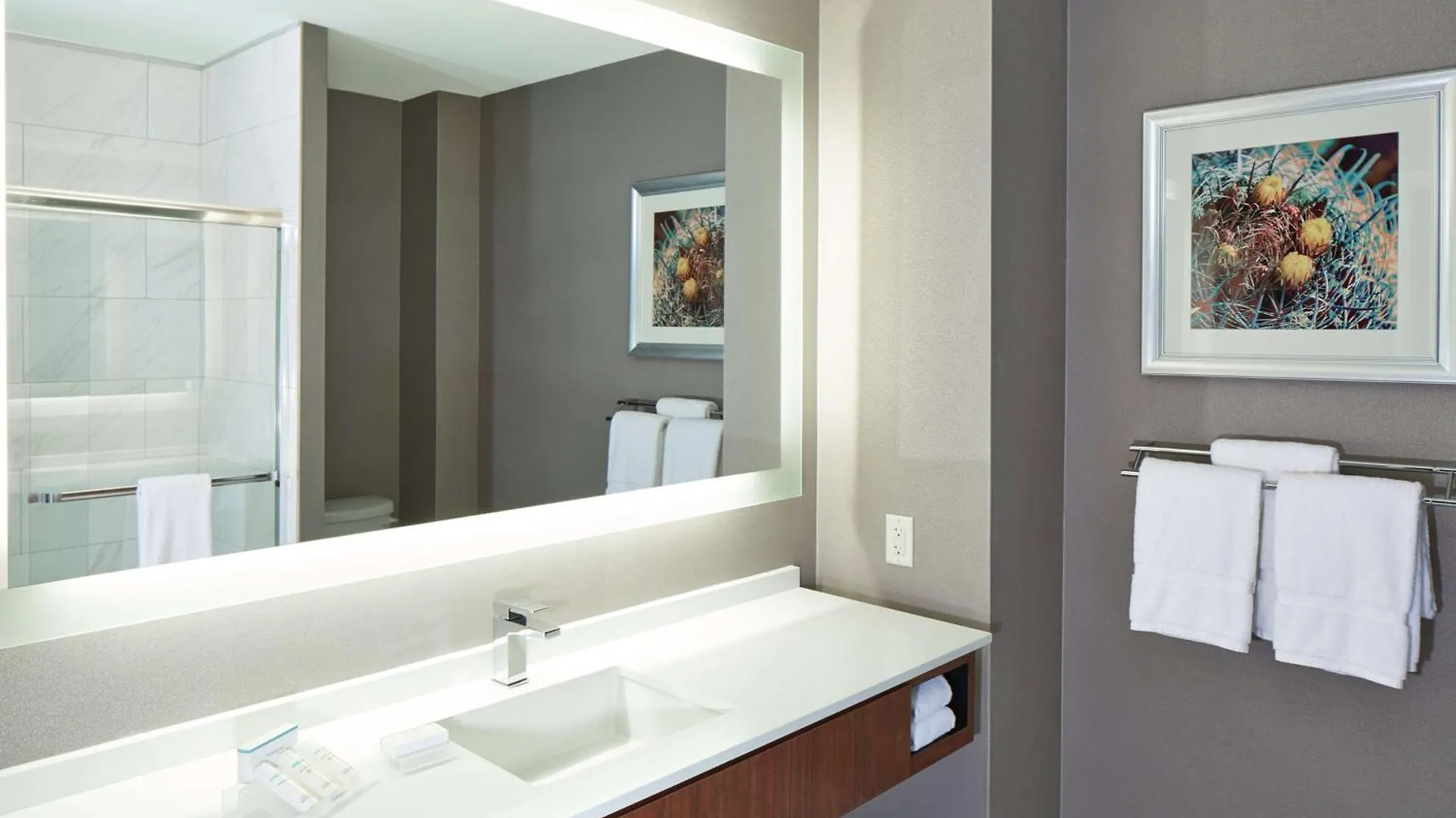 Hilton Garden Inn Phoenix Downtown 3*,  Estados Unidos