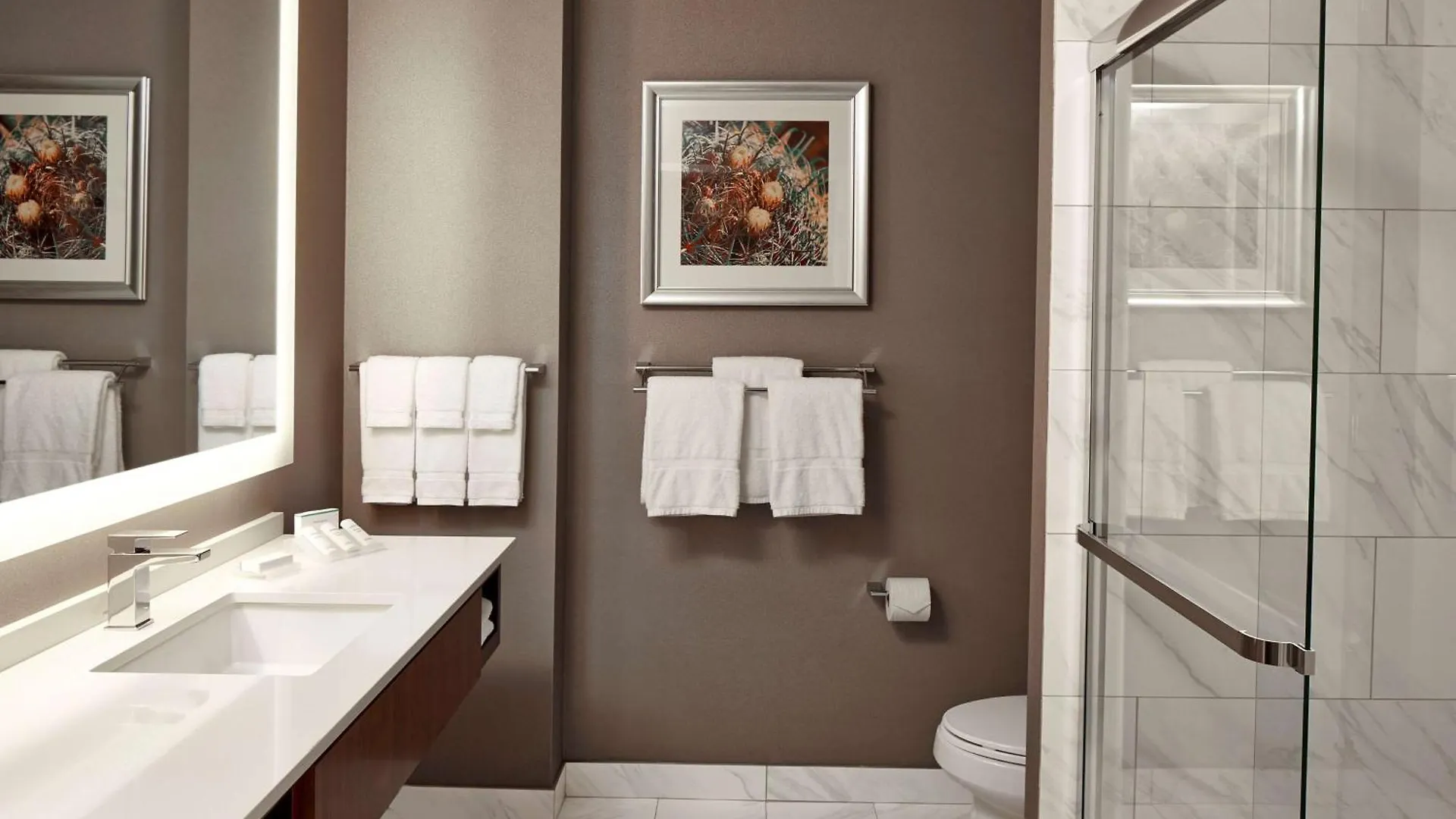 Ξενοδοχείο Hilton Garden Inn Phoenix Downtown
