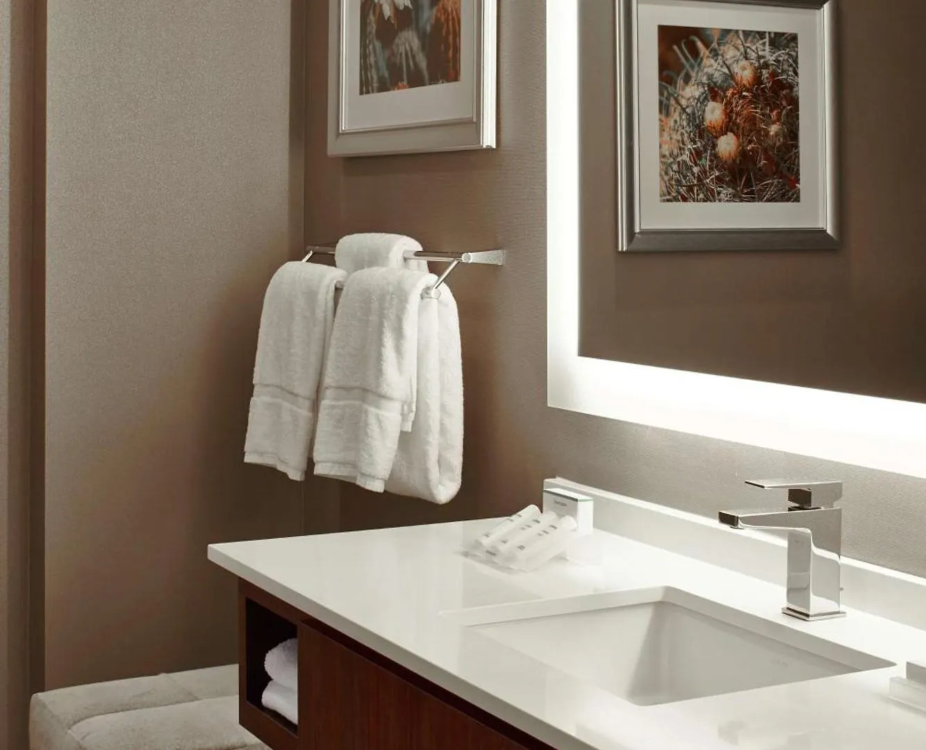Hotel Hilton Garden Inn Phoenix Downtown